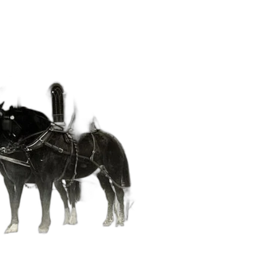 animal, dragon, staff, crown transparent PNG cut-out