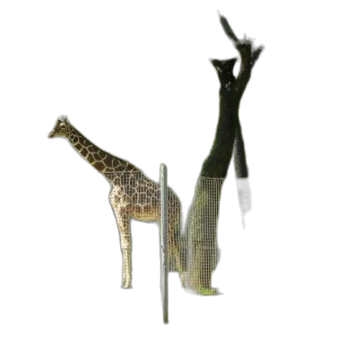 shoes, dress, staff, animal transparent PNG cut-out