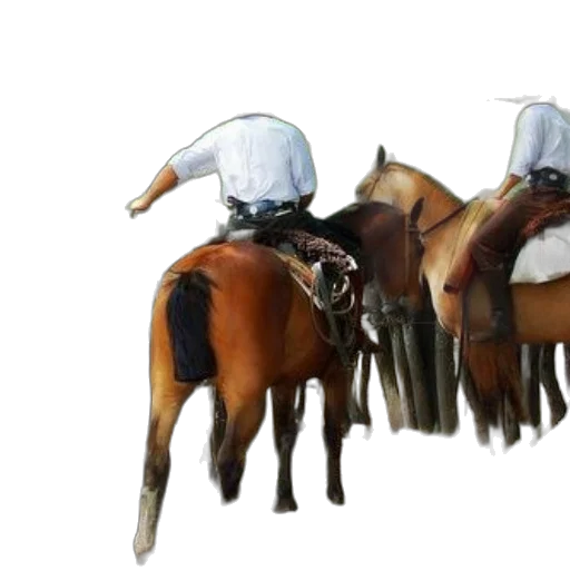 hat, animal, crown, staff transparent PNG cut-out
