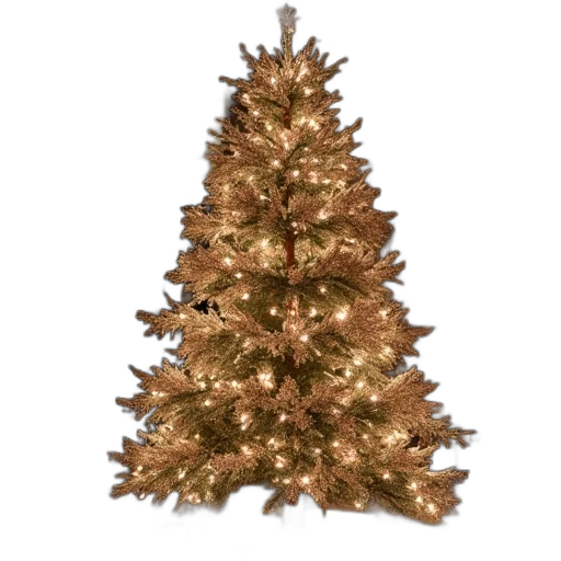 tree, crown, hat, jewelry transparent PNG cut-out