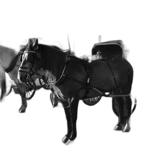 animal, robot, car, staff transparent PNG cut-out
