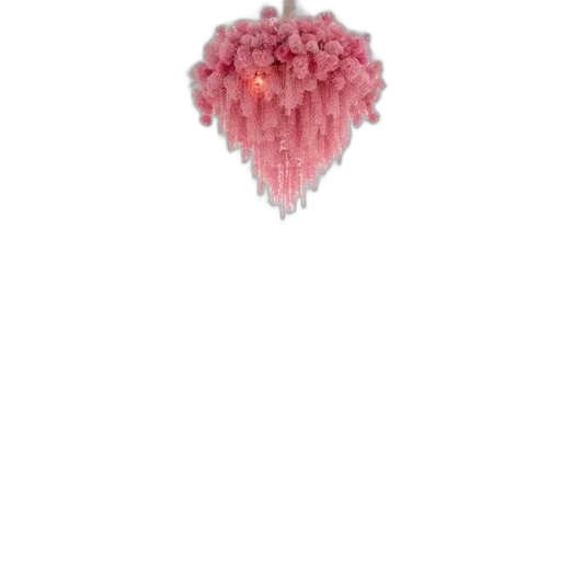 flower, jewelry, crown, hair transparent PNG cut-out