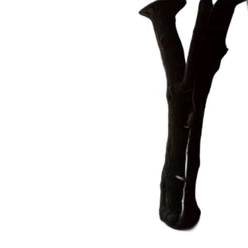 shoes, weapon, staff, umbrella transparent PNG cut-out