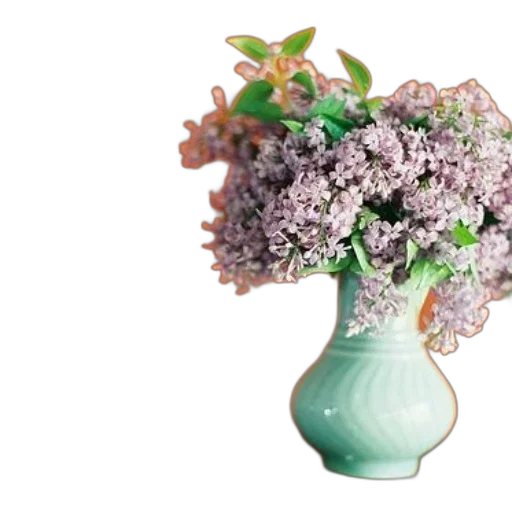 crown, flower, photorealistic, 3d render transparent PNG cut-out