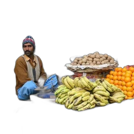 food, jacket, animal, oil painting transparent PNG cut-out