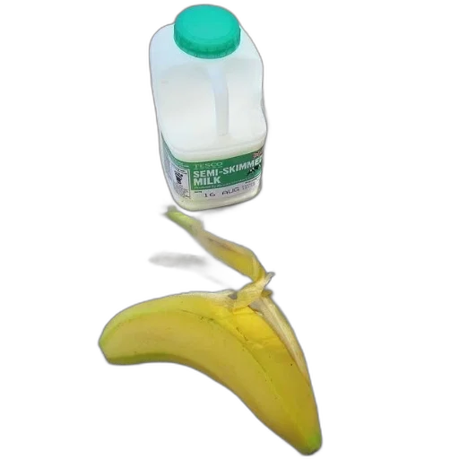 bottle, weapon, food, animal transparent PNG cut-out