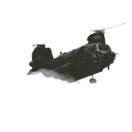 weapon, dragon, animal, staff transparent PNG cut-out
