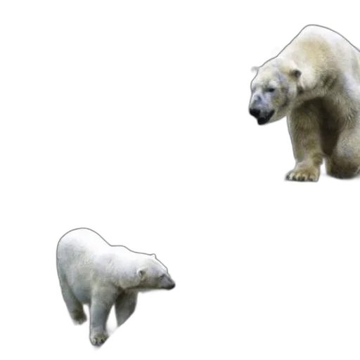 animal, creature, concept art, 3d render transparent PNG cut-out