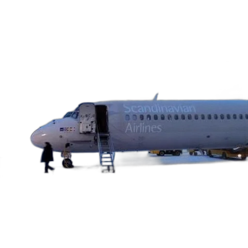 staff, 3d render, scandinavian, airlines transparent PNG cut-out