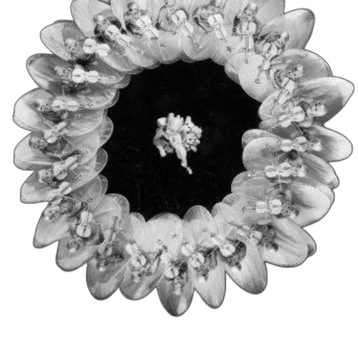 crown, jewelry, flower, staff transparent PNG cut-out
