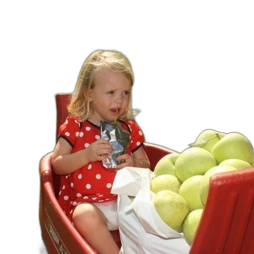 furniture, food, car, robot transparent PNG cut-out