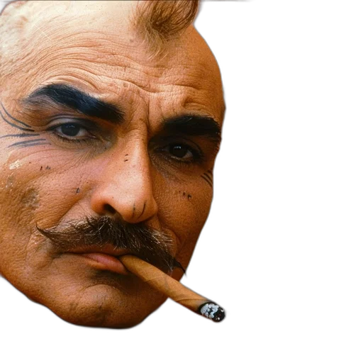 face, mask, animal, staff transparent PNG cut-out