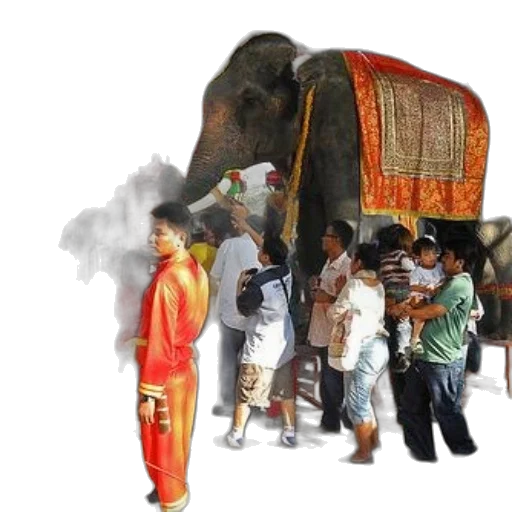 animal, concept art, group, people transparent PNG cut-out