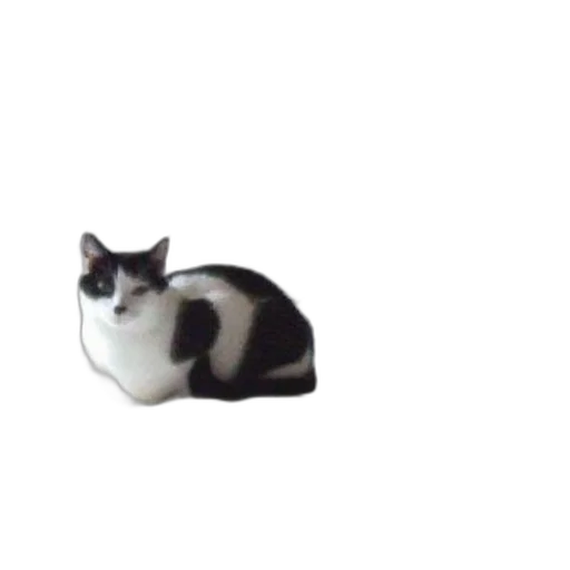 animal, creature, staff, robot transparent PNG cut-out
