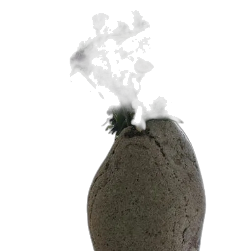 bottle, food, hat, crown transparent PNG cut-out