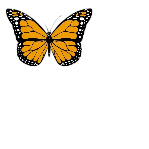 animal, crown, creature, flower transparent PNG cut-out