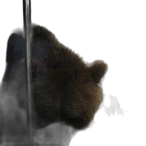 animal, staff, weapon, creature transparent PNG cut-out