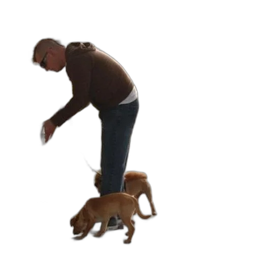 staff, animal, creature, shoes transparent PNG cut-out