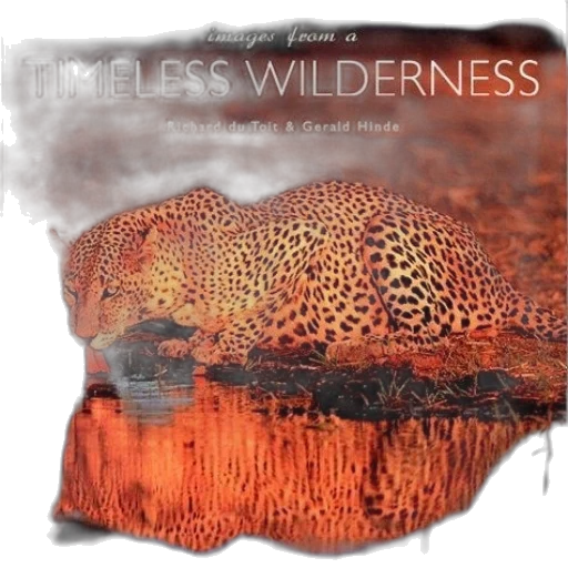 fire, earth tones, book, cover transparent PNG cut-out