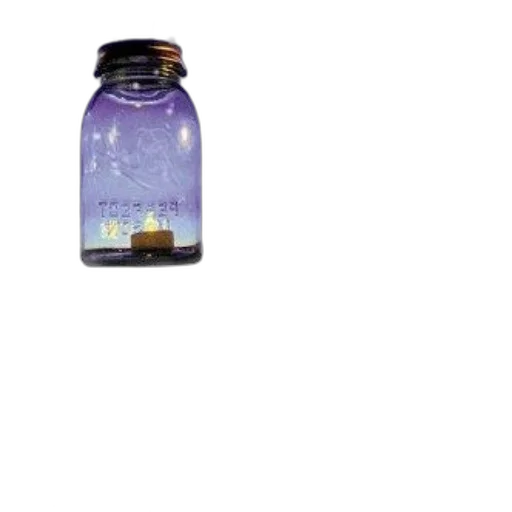 bottle, food, cover, fly transparent PNG cut-out