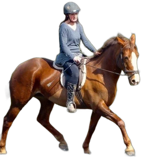 animal, jacket, staff, photorealistic transparent PNG cut-out