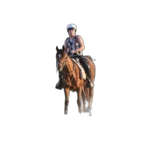 animal, staff, photorealistic, pixel art transparent PNG cut-out