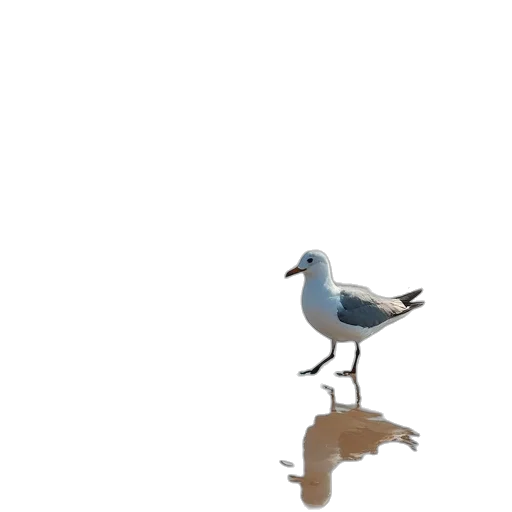 animal, shoes, robot, creature transparent PNG cut-out