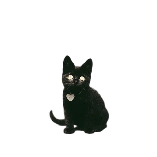 staff, animal, creature, jewelry transparent PNG cut-out