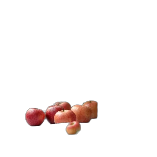 food, crown, jewelry, furniture transparent PNG cut-out