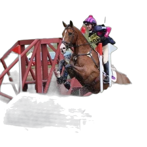 horse, rider, jump, over transparent PNG cut-out