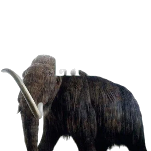 animal, creature, staff, weapon transparent PNG cut-out