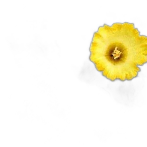 flower, jewelry, crown, staff transparent PNG cut-out