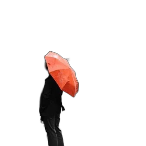 umbrella, hat, jacket, staff transparent PNG cut-out