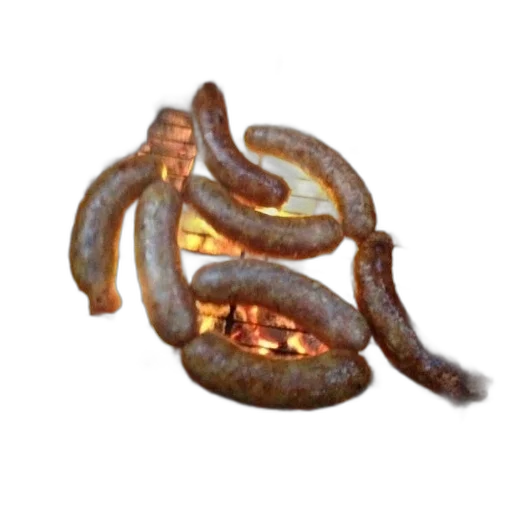 dragon, food, staff, weapon transparent PNG cut-out
