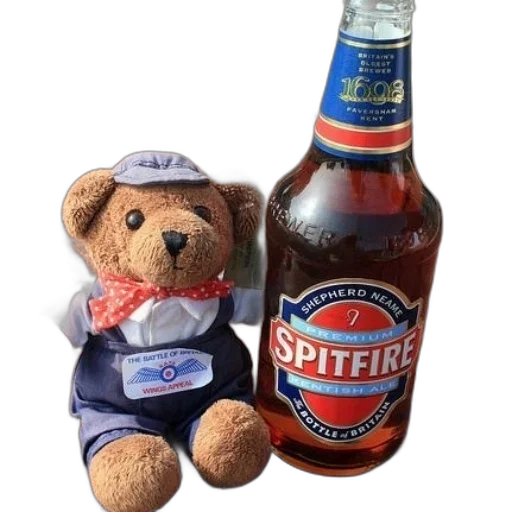 bottle, jacket, teddy, bear transparent PNG cut-out