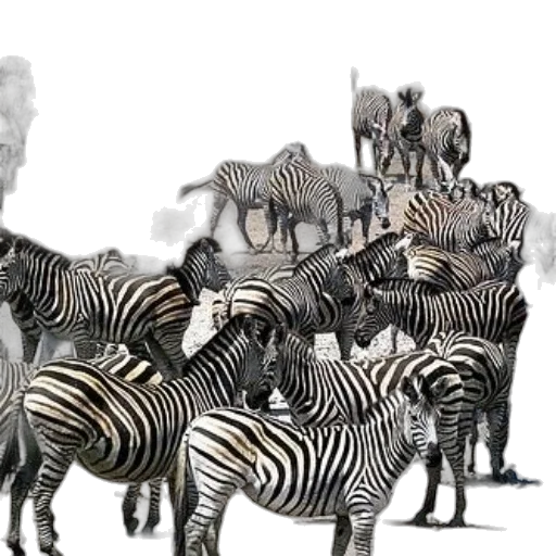 animal, creature, concept art, photorealistic transparent PNG cut-out