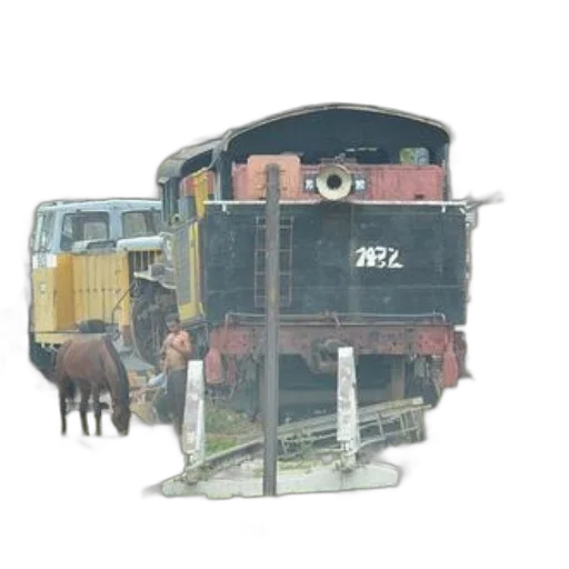 animal, car, robot, hat transparent PNG cut-out