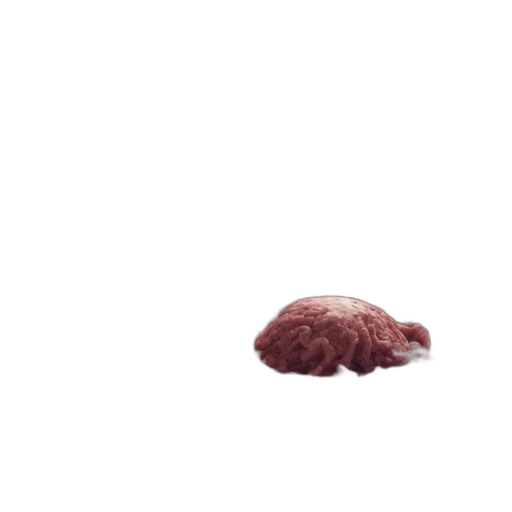 animal, food, hair, hat transparent PNG cut-out
