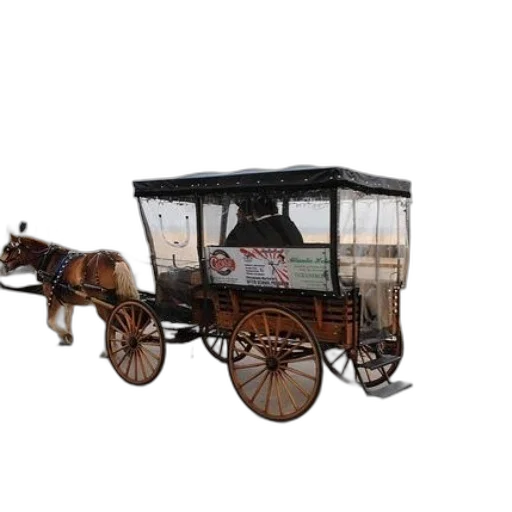 car, furniture, animal, staff transparent PNG cut-out