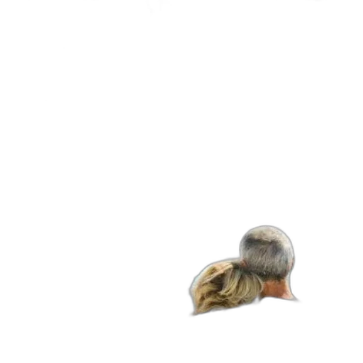 hair, hat, mask, face transparent PNG cut-out