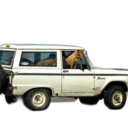 car, animal, staff, creature transparent PNG cut-out