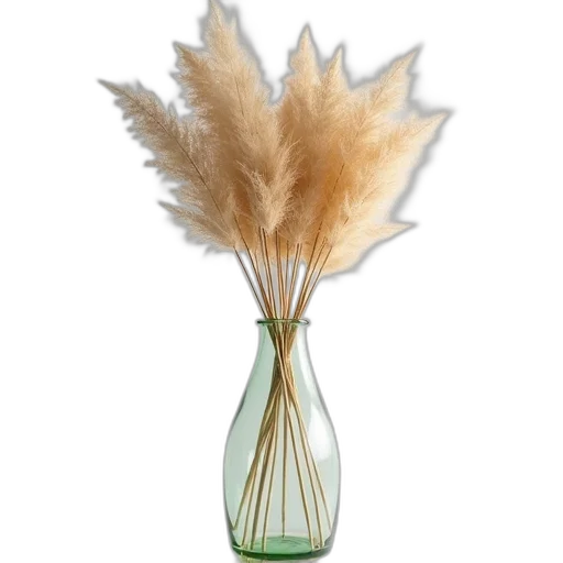 hair, bottle, flower, jewelry transparent PNG cut-out