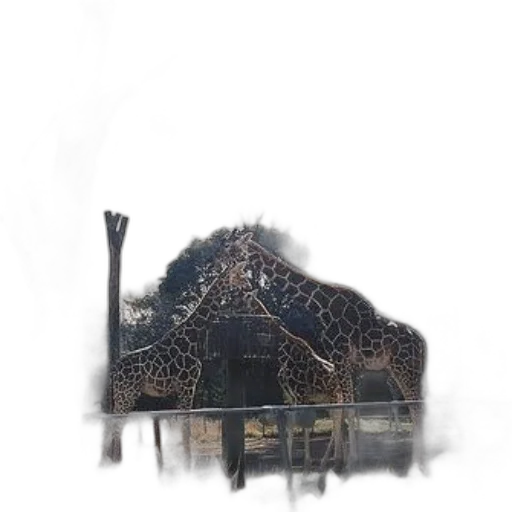 animal, building, car, umbrella transparent PNG cut-out
