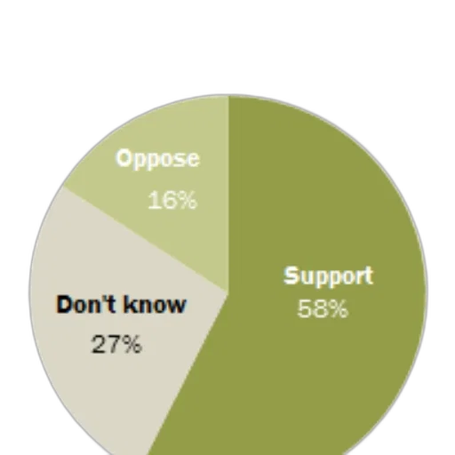 pie, chart, showing, support transparent PNG cut-out