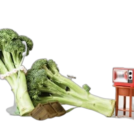 food, furniture, robot, weapon transparent PNG cut-out