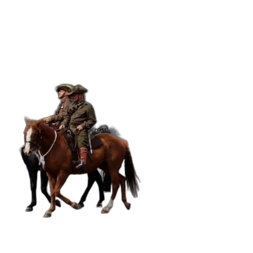 hat, animal, jacket, weapon transparent PNG cut-out