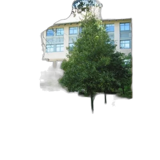 tree, building, robot, staff transparent PNG cut-out