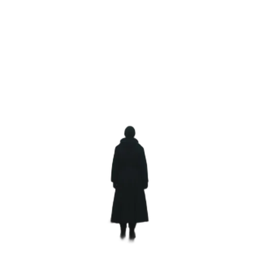 jacket, dress, staff, face transparent PNG cut-out