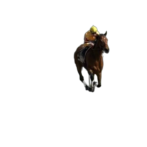 hat, animal, staff, creature transparent PNG cut-out