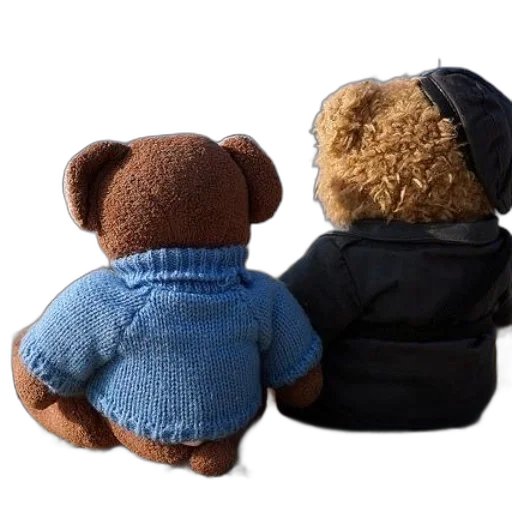 jacket, hat, two, teddy transparent PNG cut-out